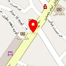 دکتر زهرا نعمتی