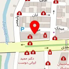 دکتر حسین حسن نیا