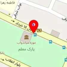 دکتر سریه صادق پور