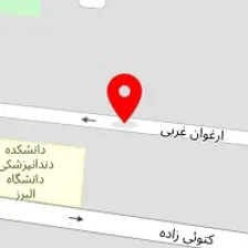 املاک محسن