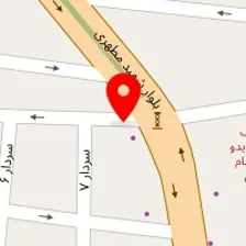 دکتر زهرا هاشمی