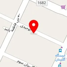 روانشناس سمیه ناطقی