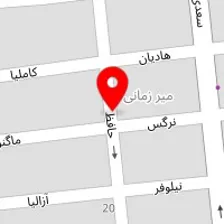 دکتر کامران نصرتی