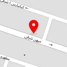 دکتر مینا مهدوی
