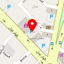 دکتر فیروزه ملکی