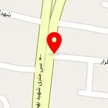 دکتر زهرا گلشنی