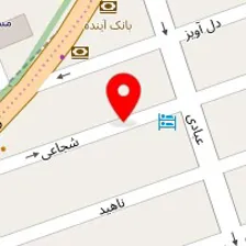 شایگان وی آی پی