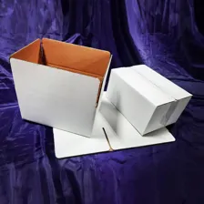 کارتن سازی عرفانی