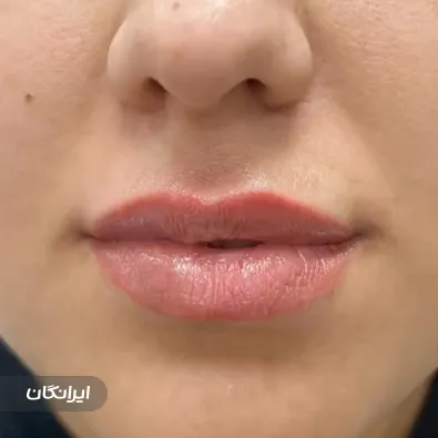 دکتر فریبا محمدی
