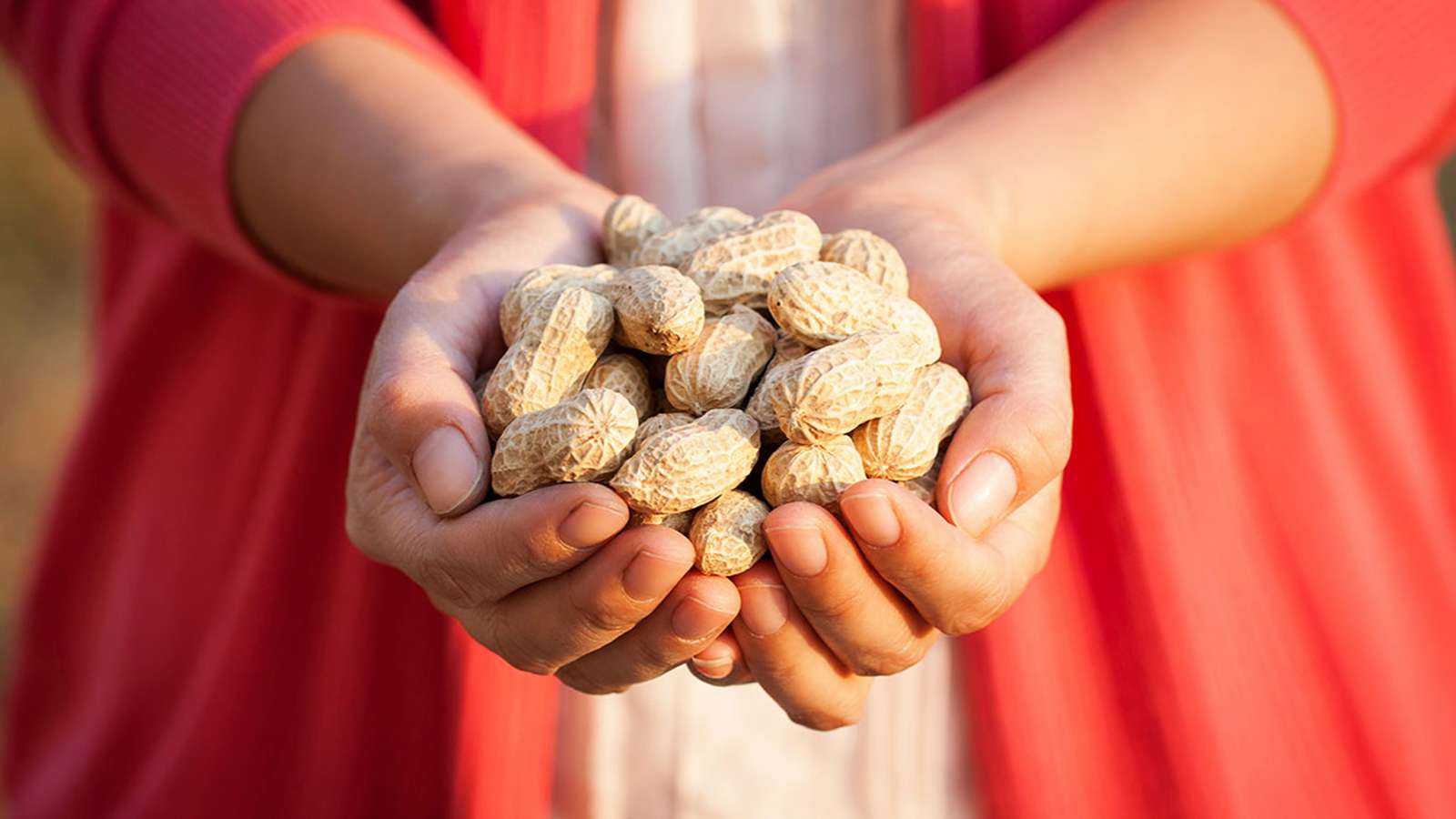 بادام زمینی برای دیابتی‌ها