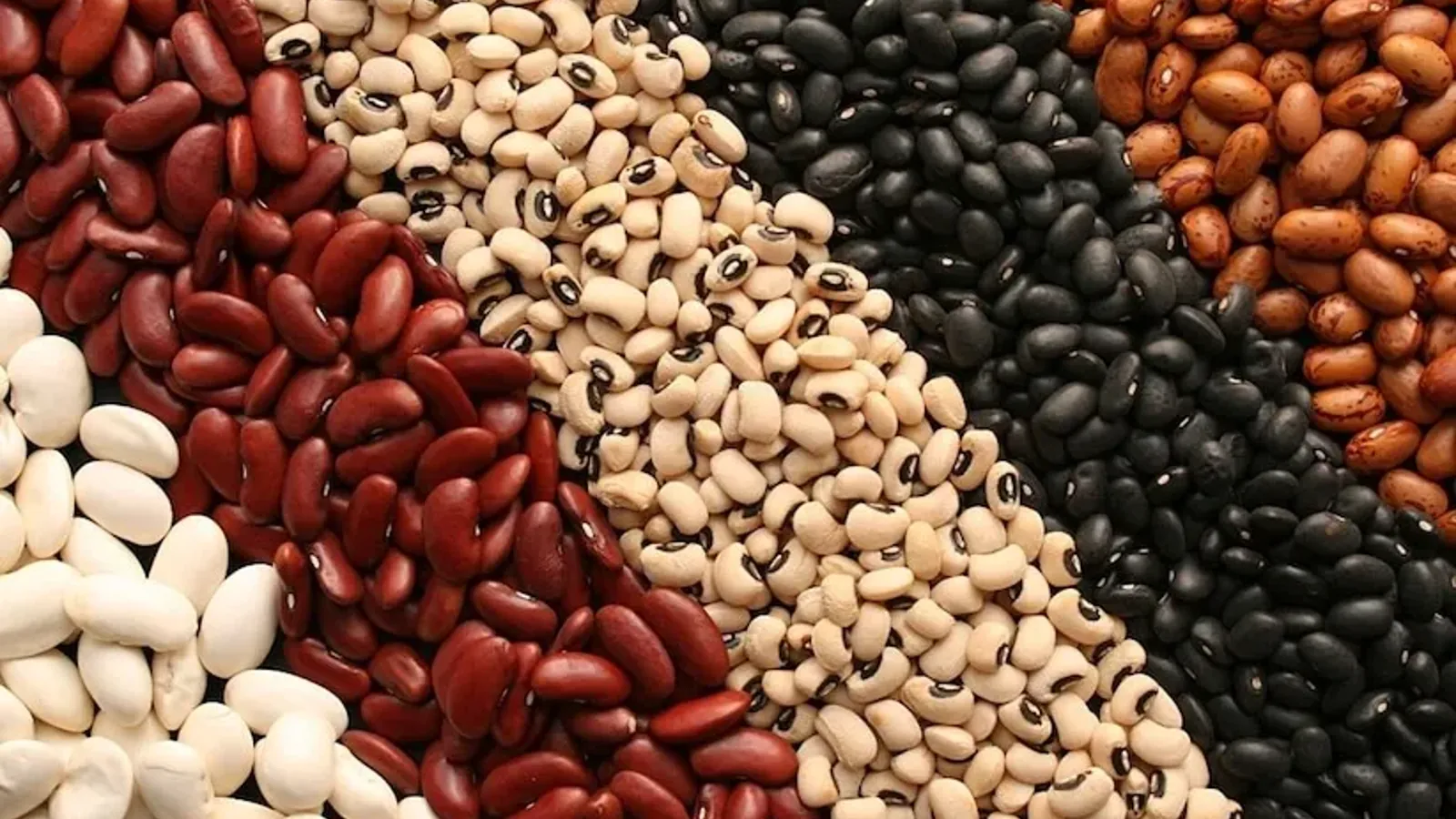 برای کم خونی چه بخوریم
