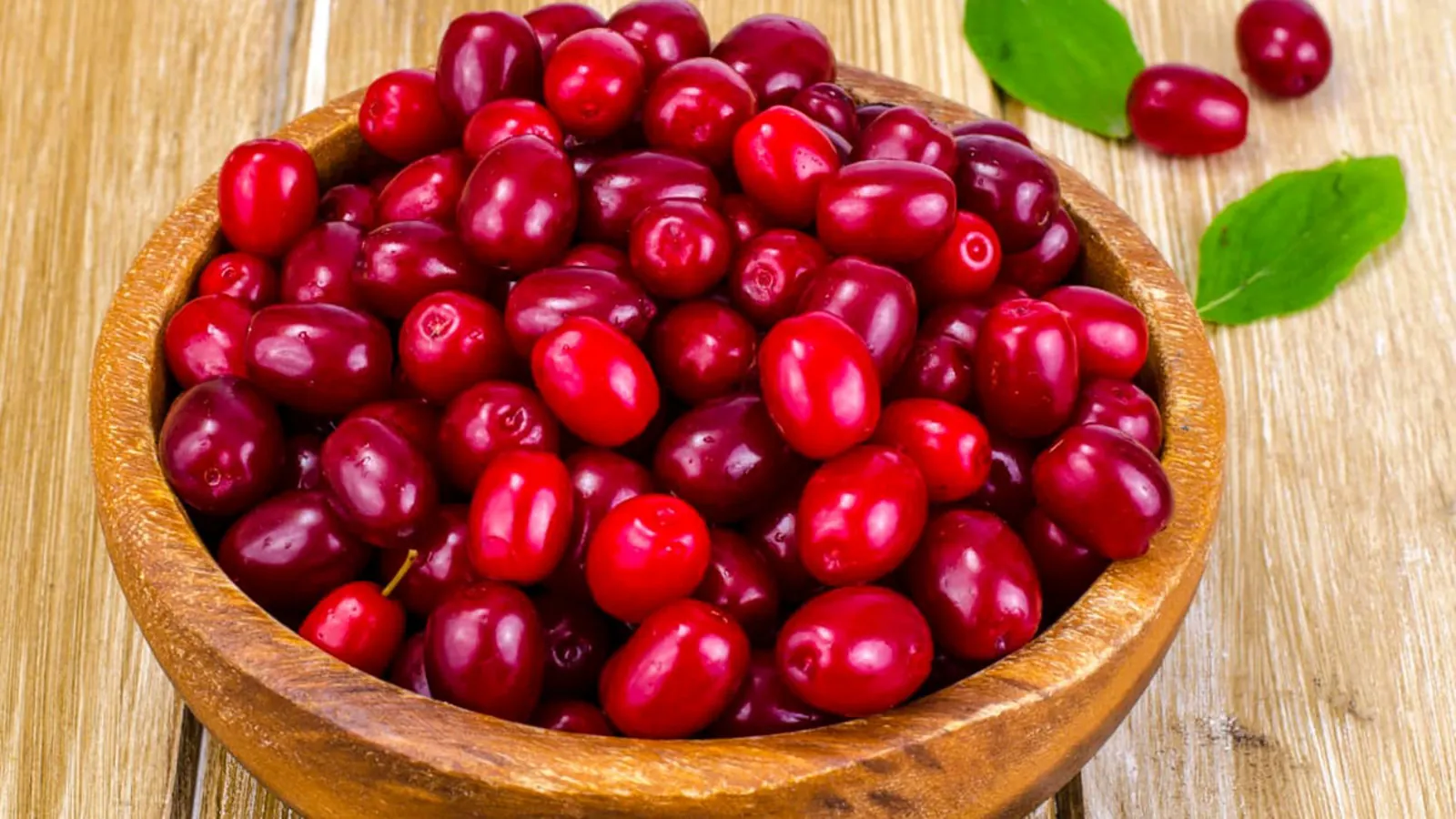 زغال اخته