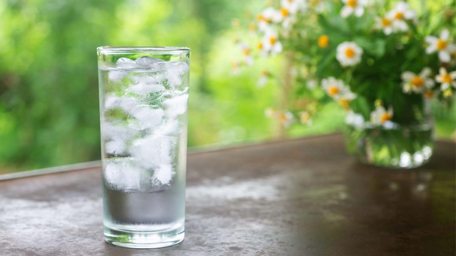 خواص تخم شربتی و خاکشیر