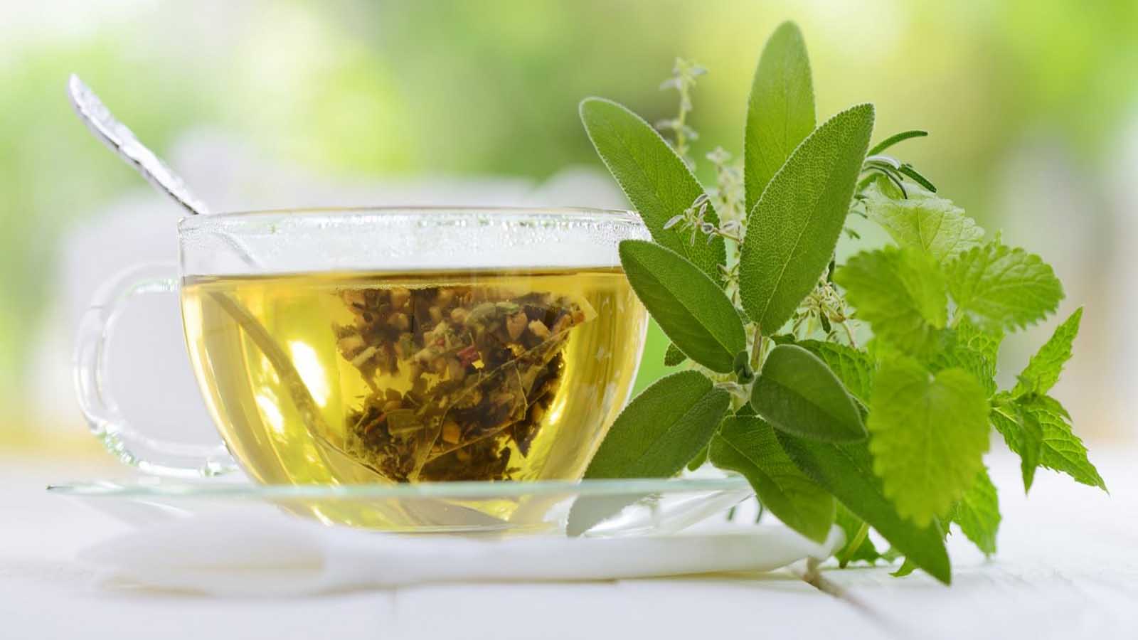 خواص چای سبز برای مو