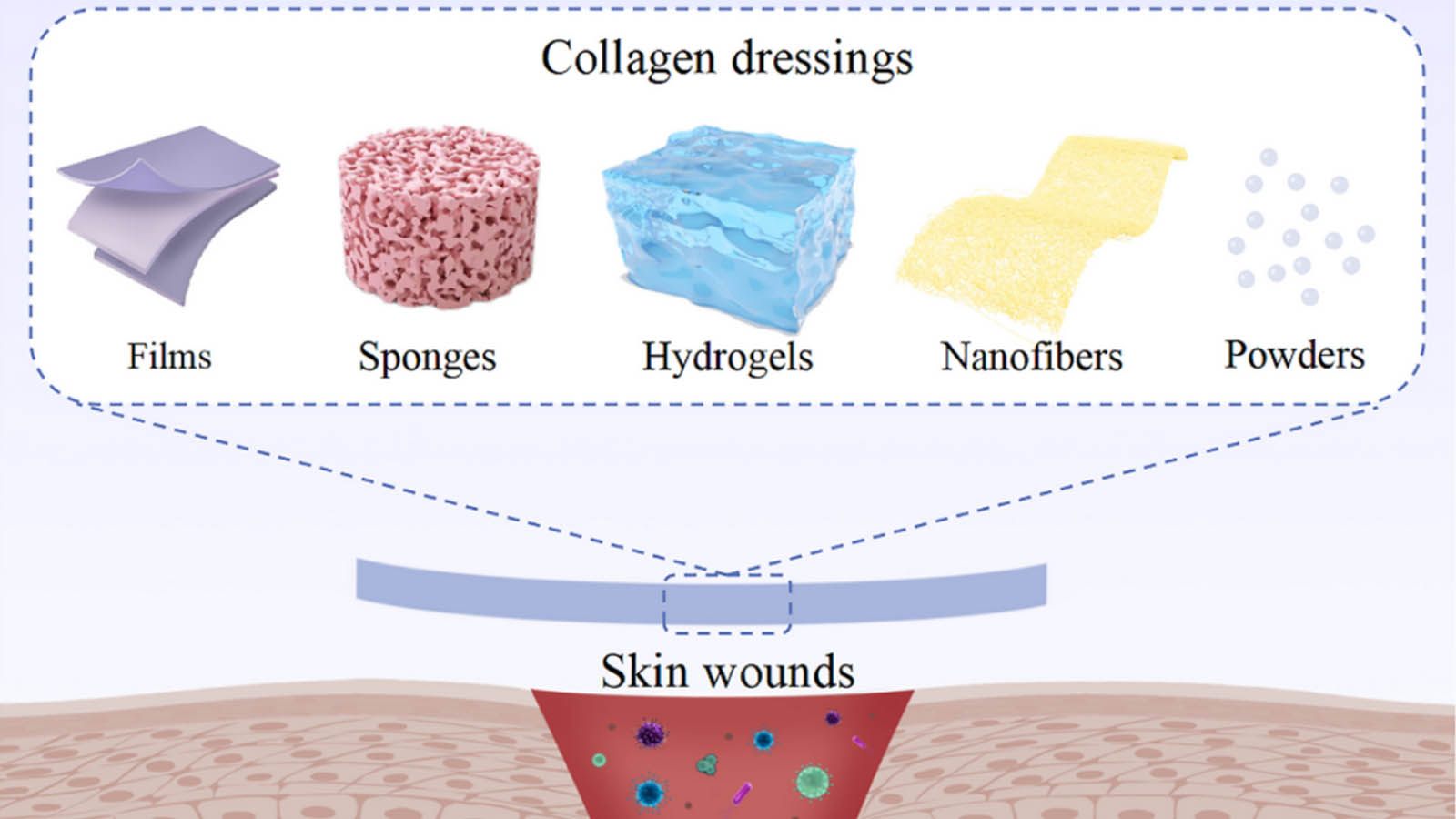 پپتیدهای کلاژن چیست