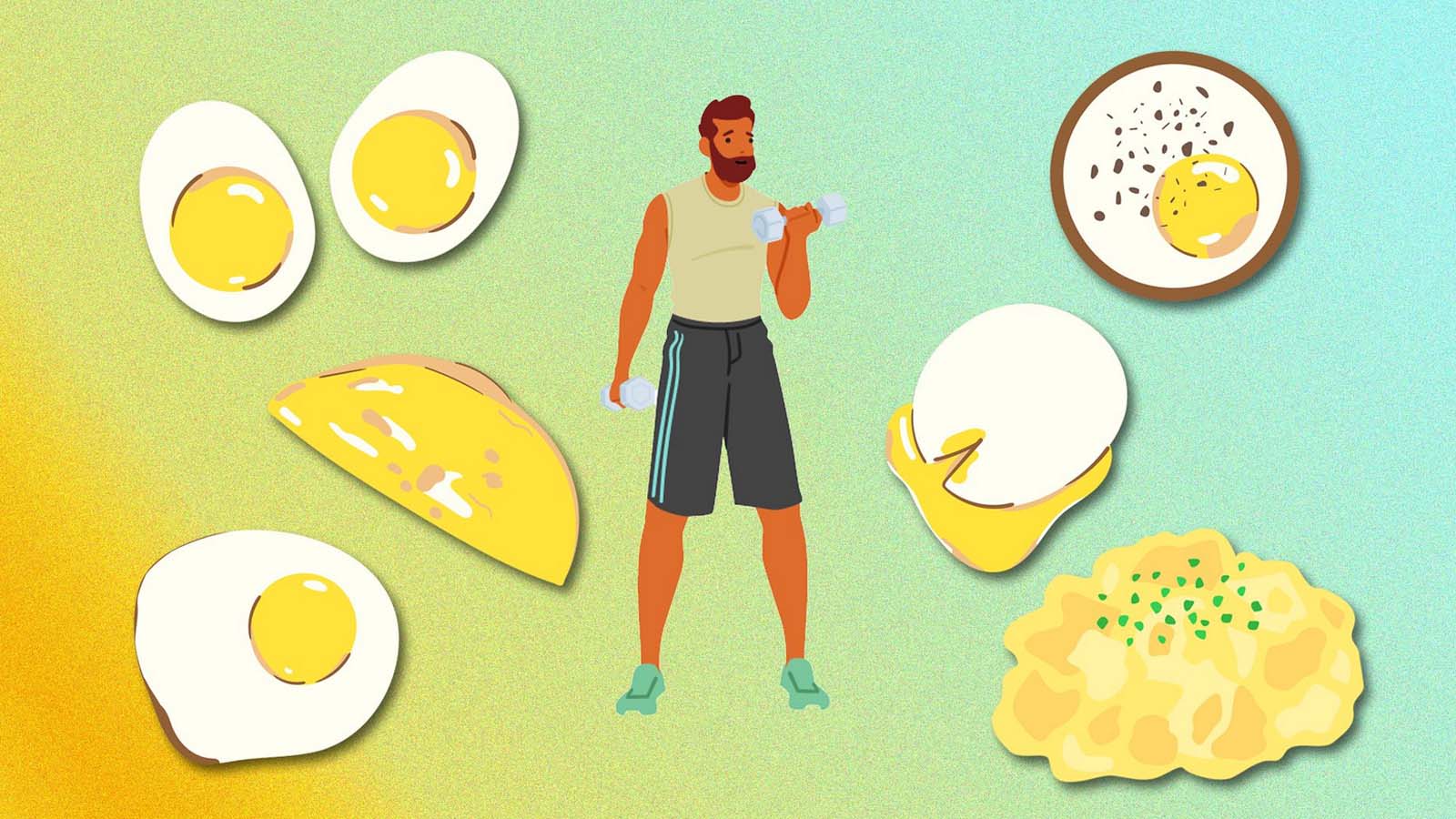 نگهداری صحیح تخم مرغ