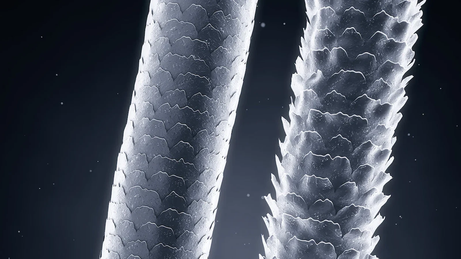 pH شامپو و کوتیکول