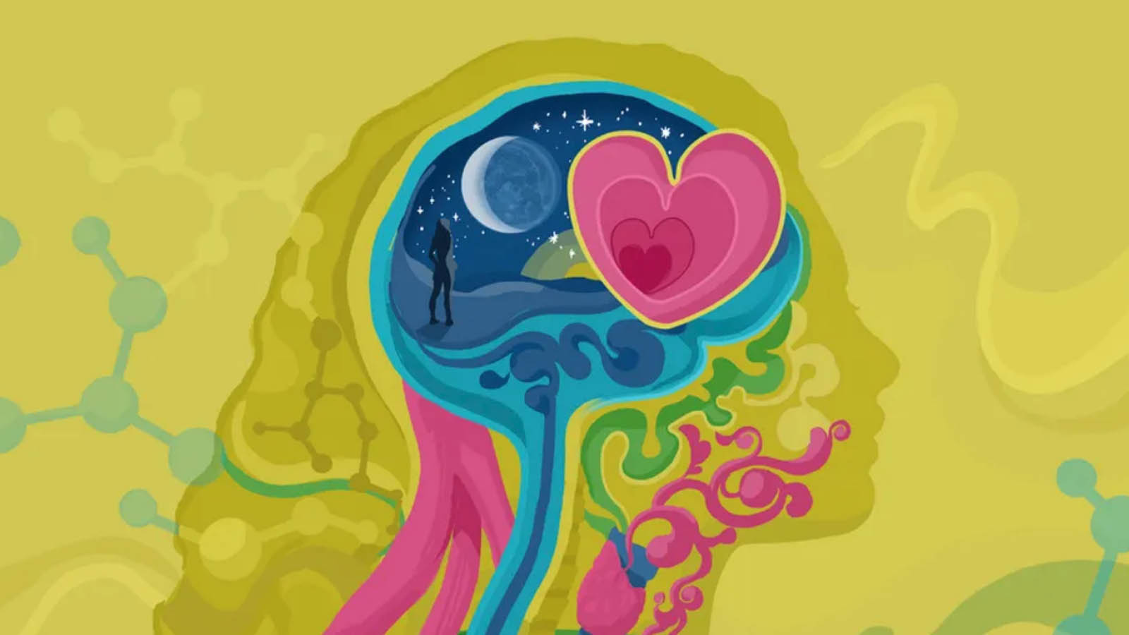 جدول هورمون های بدن