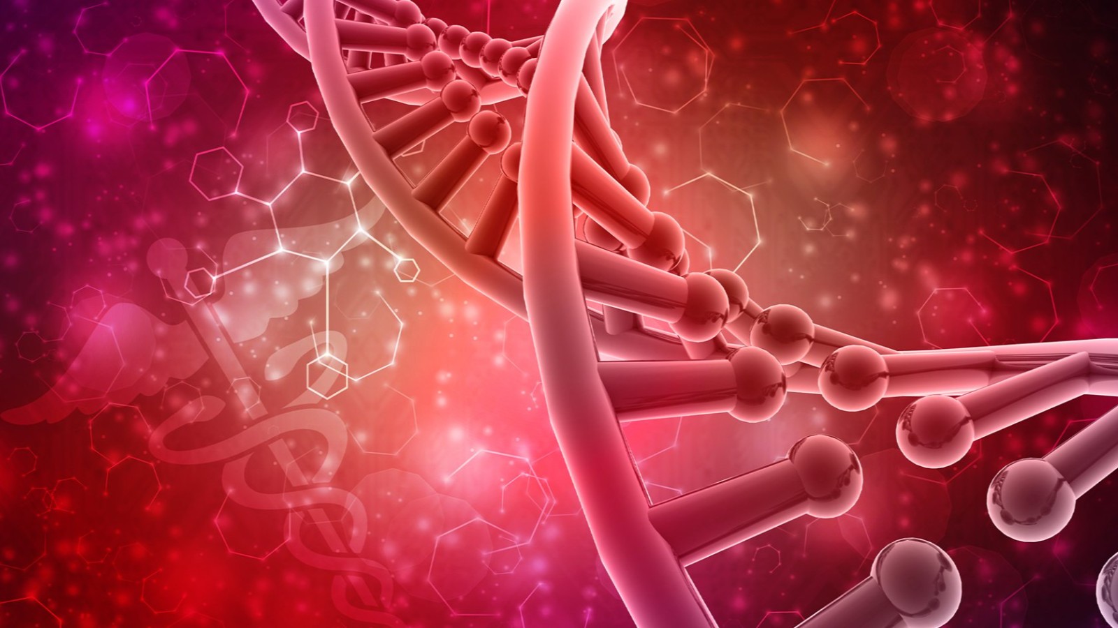 نقش انواع هورمون در بدن