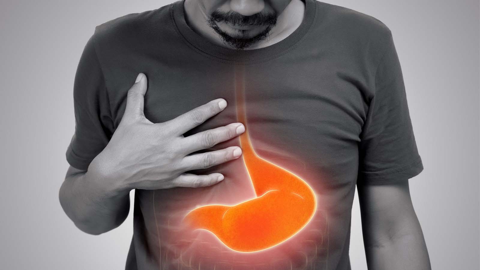 سیستم هاضمه انسان