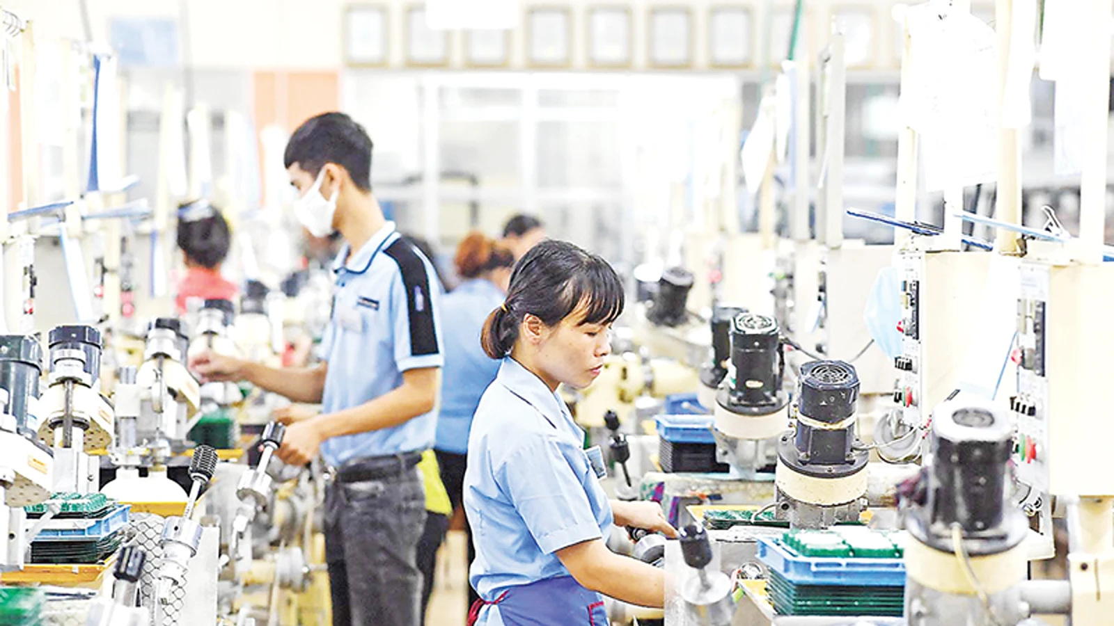 بهره‌وری در تولید و اقتصاد