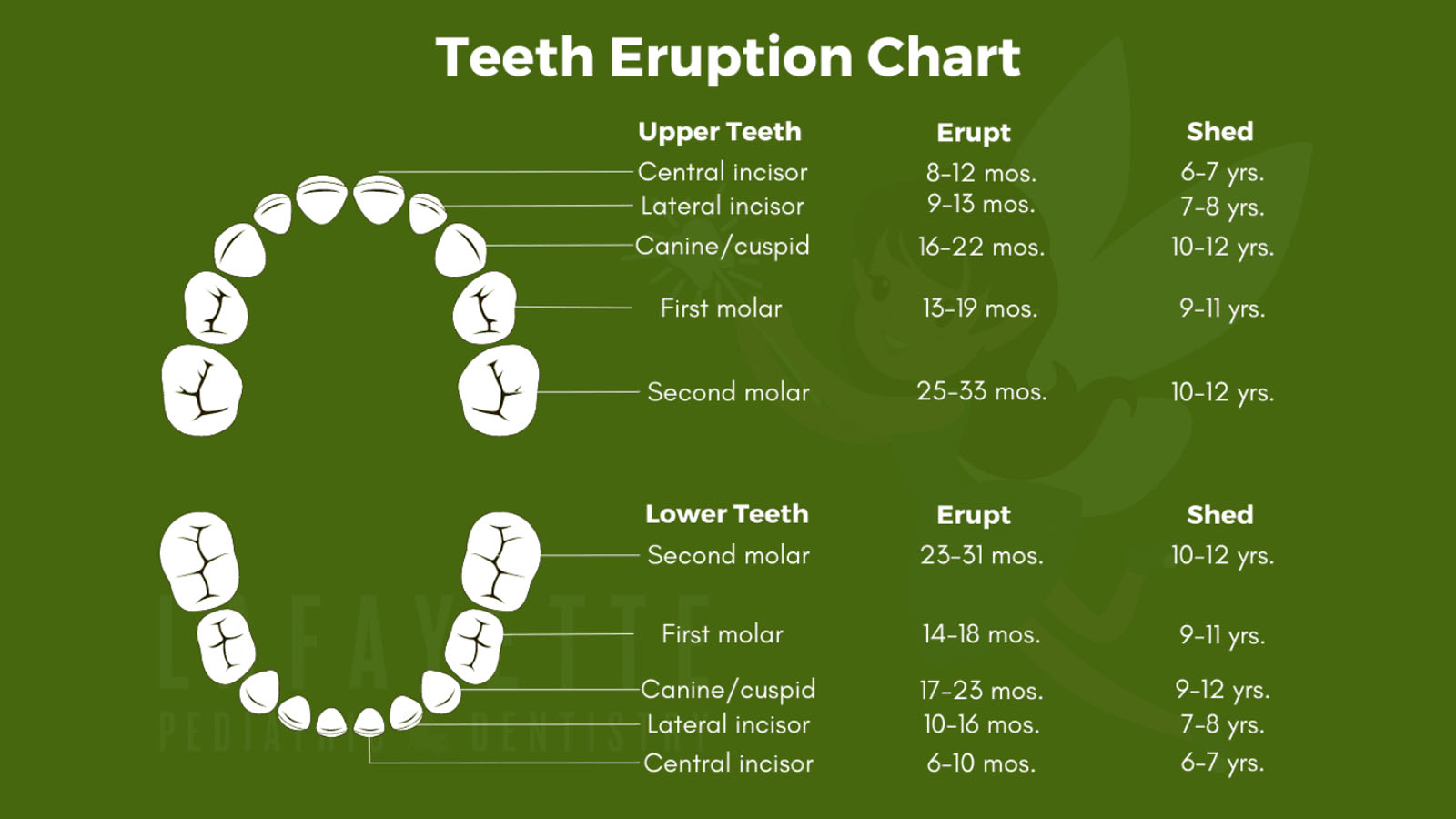 بهداشت دهان کودک