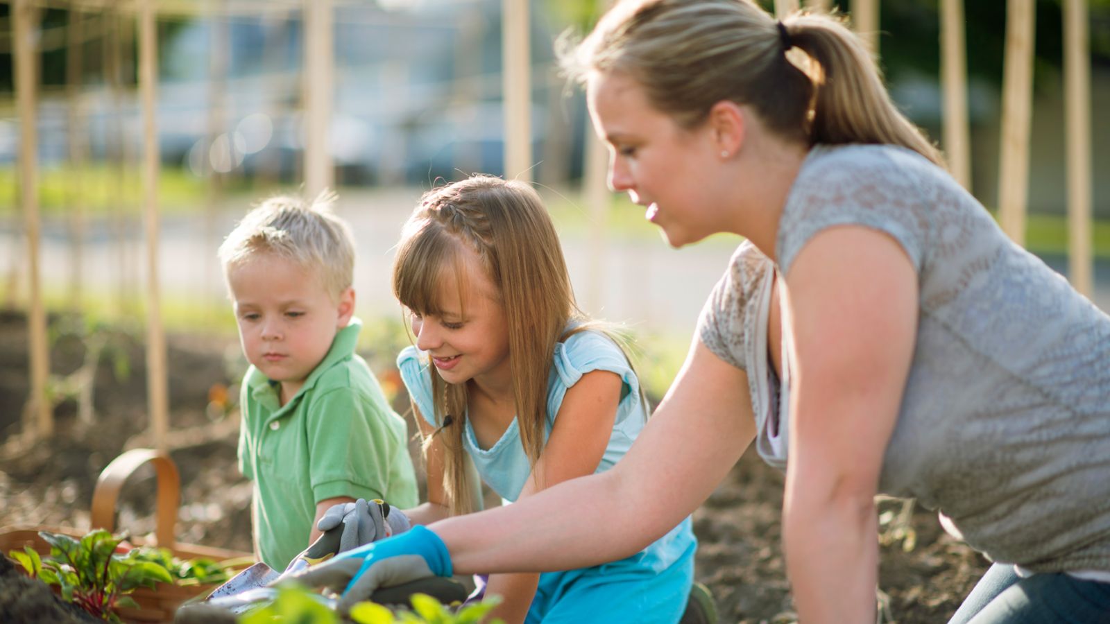 کمک نوجوانان در کارهای خانه