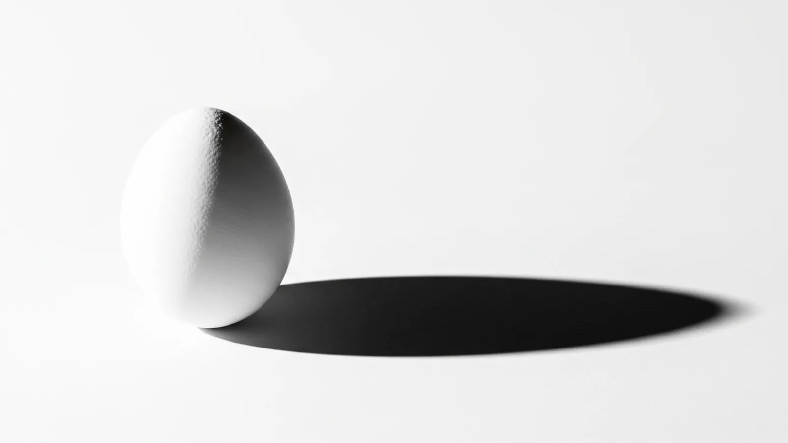 رژیم تخم مرغ