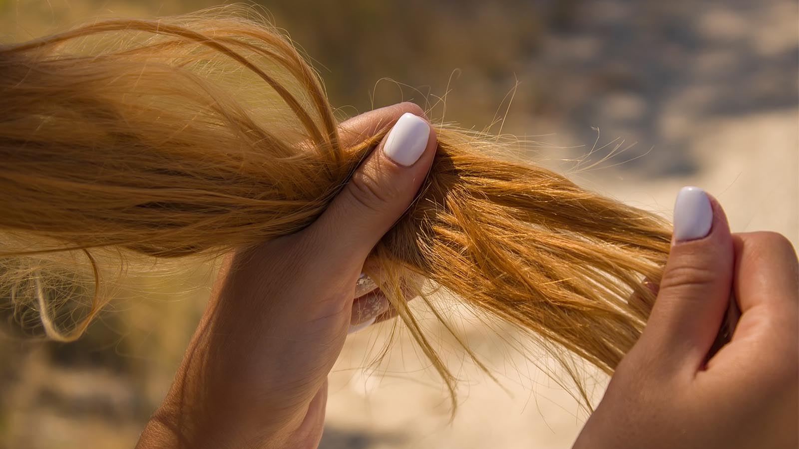 نقش پروتئین در کوتیکول