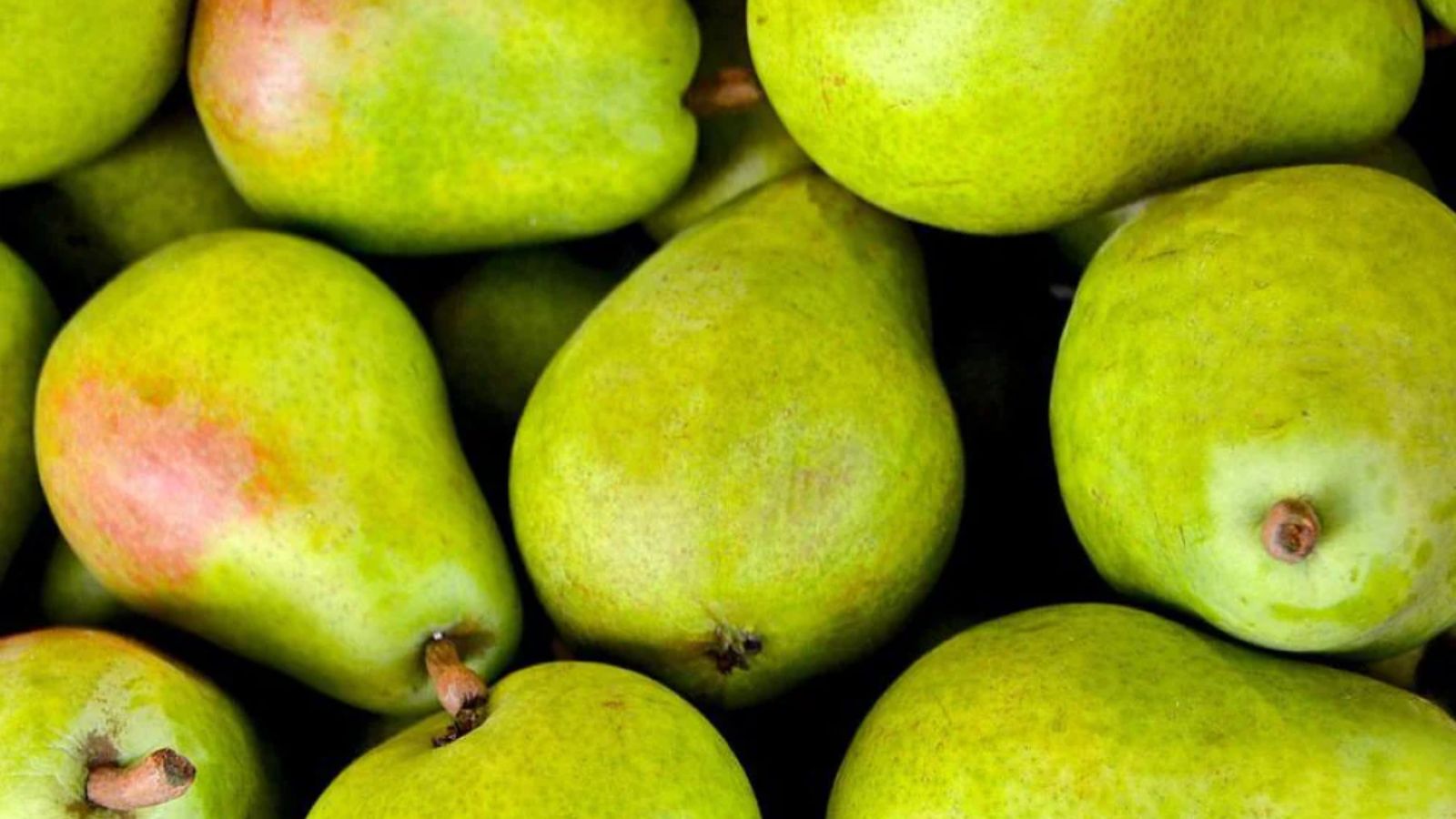 گلابی برای کبد چرب