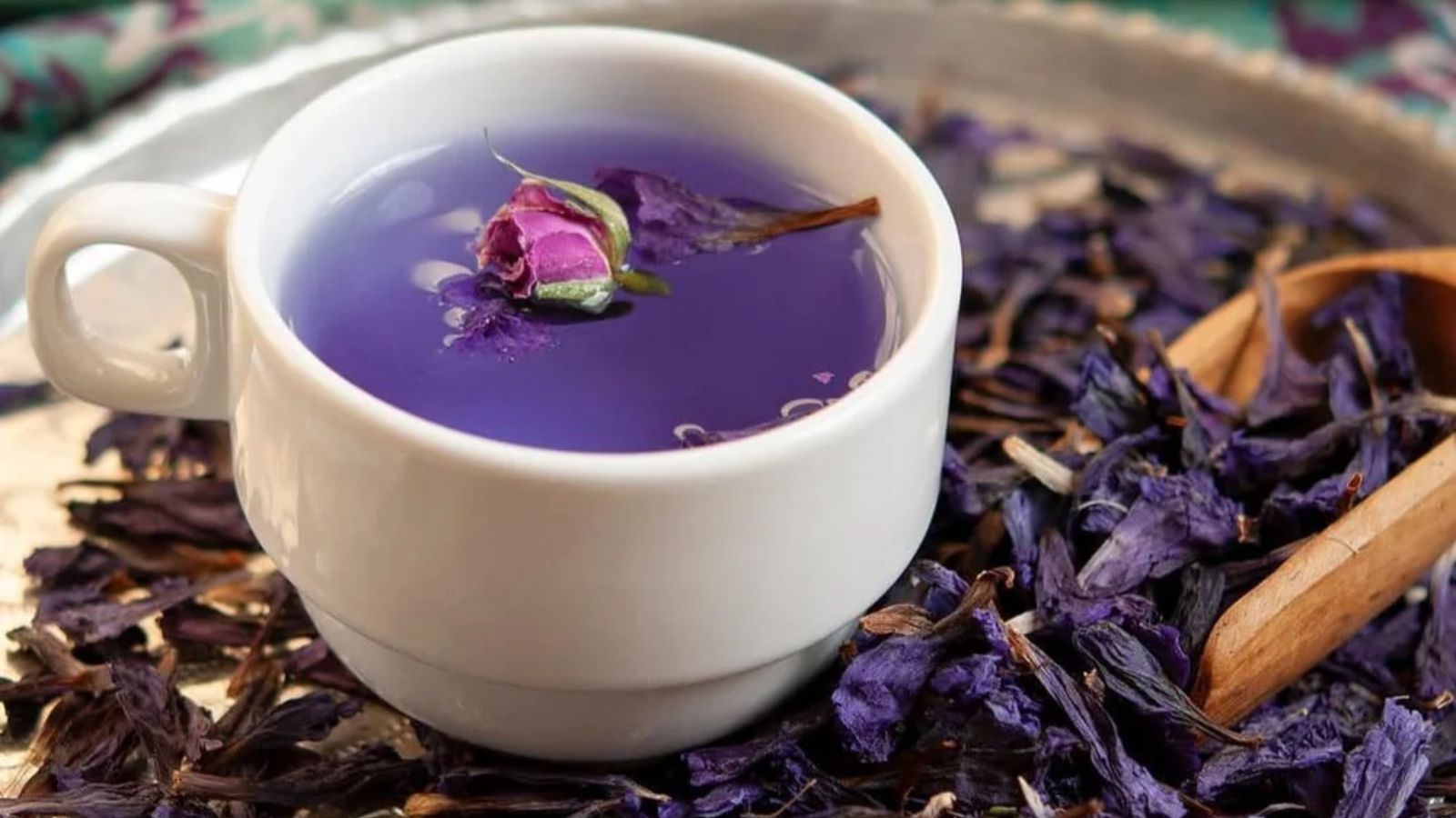 گل گاوزبان برای خواب