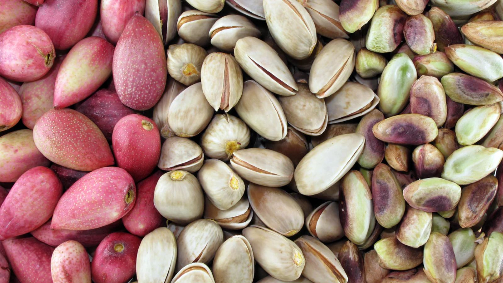 پسته برای مغز و حافظه