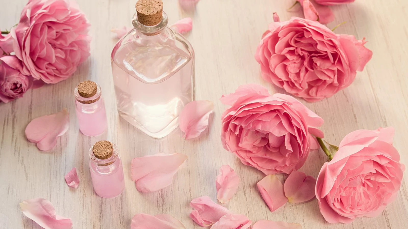 گلاب برای معده