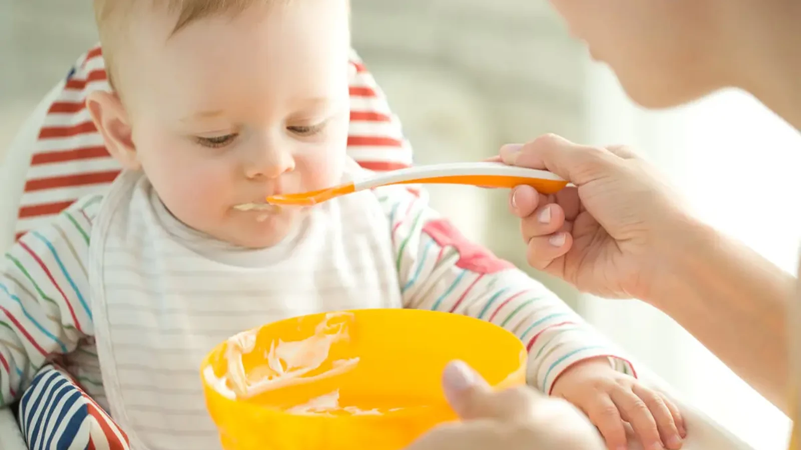 طرز تهیه فرنی برای نوزاد