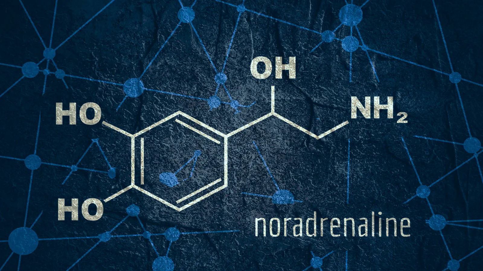 نورادرينالين چیست