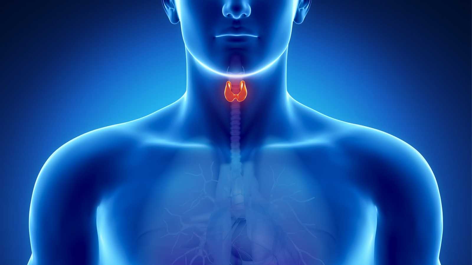 آزمایش تیروئید