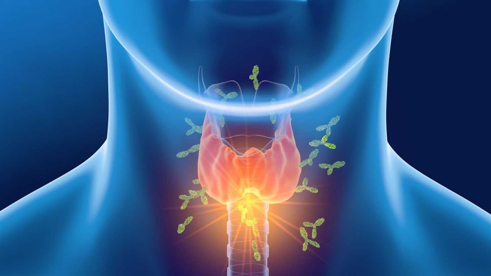 خواندن ازمایش تیروئید