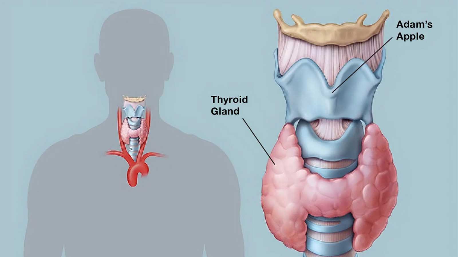 علائم تیروئید کم کار