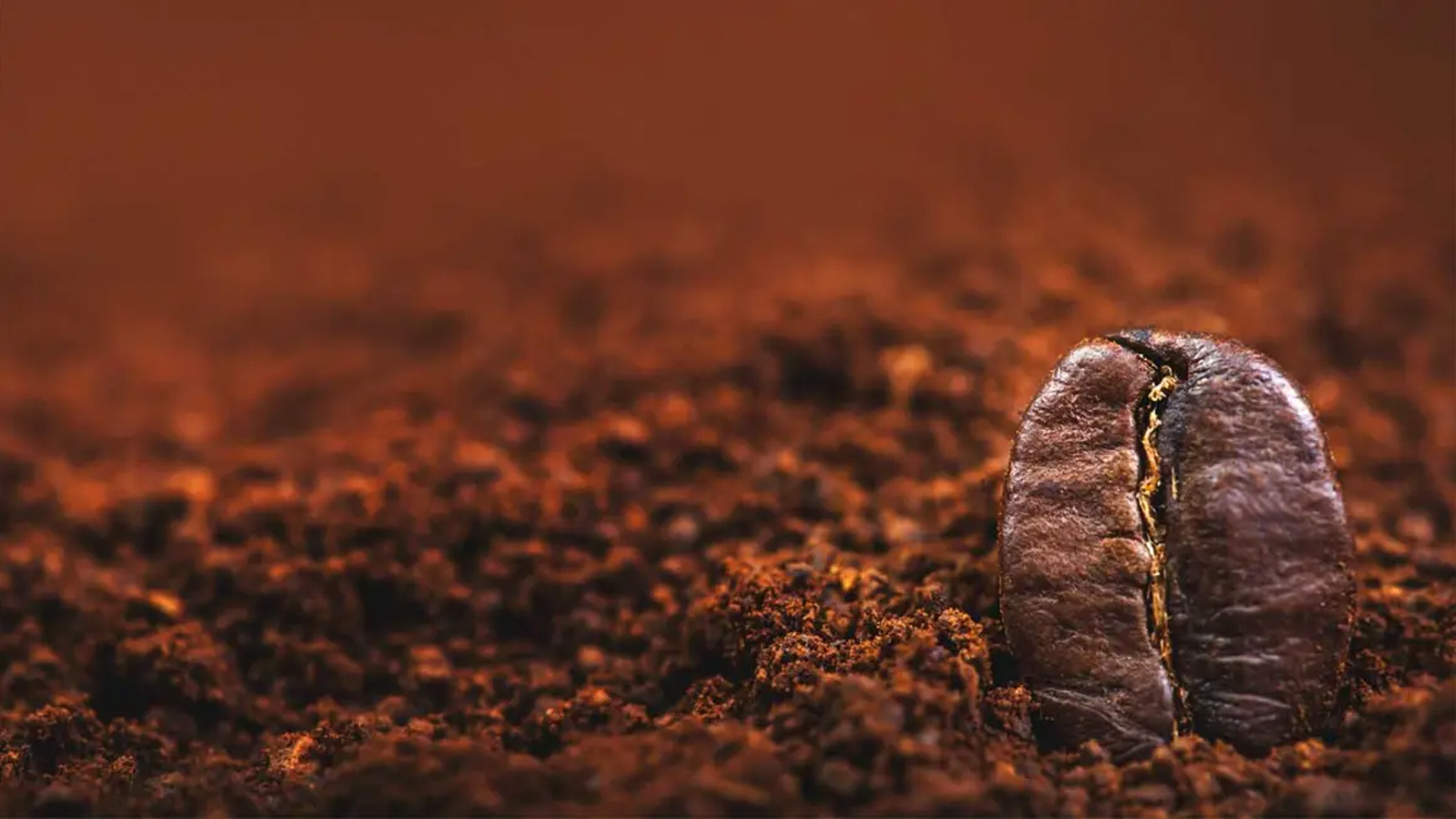 انواع ما‌سک قهو‌ه همراه با طرز تهیه