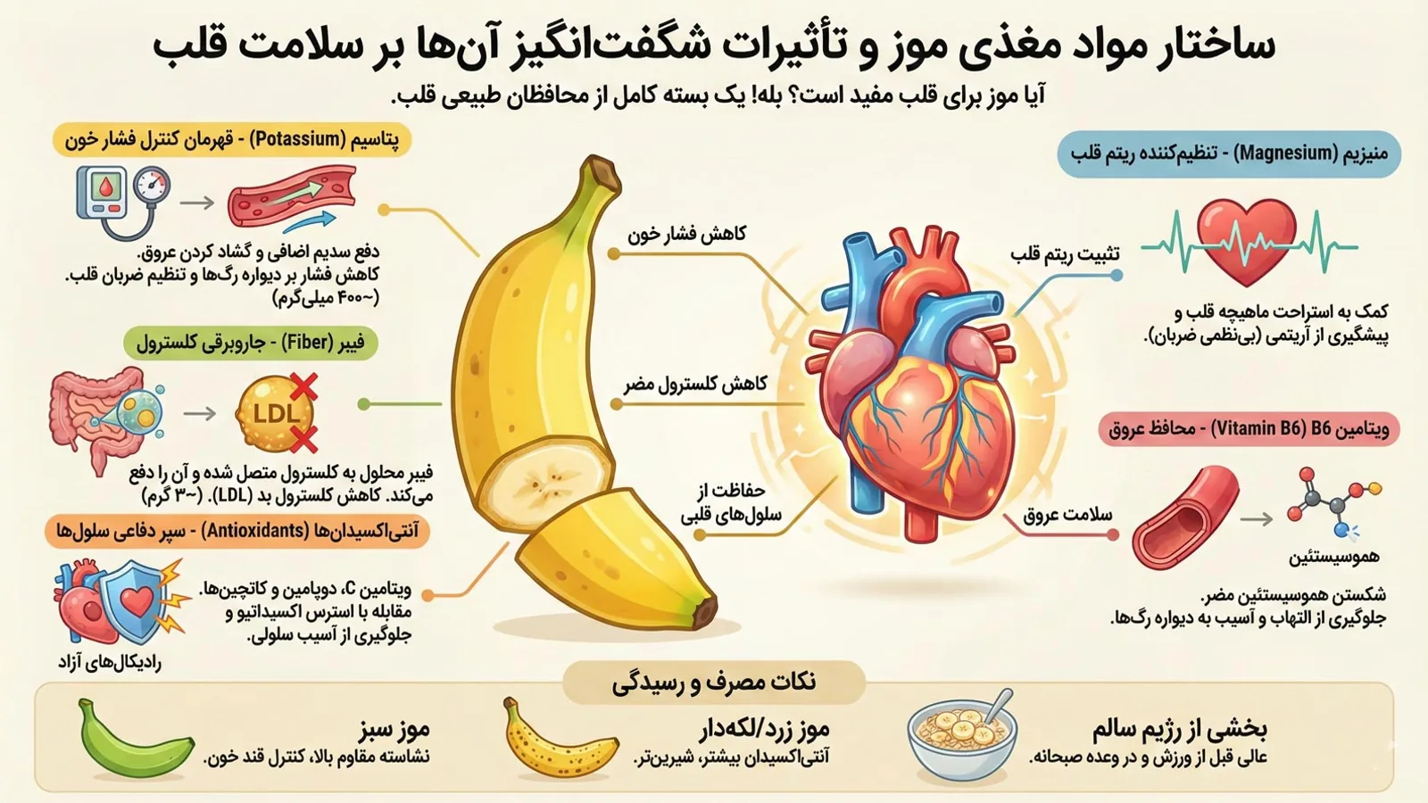 آیا موز برای قلب خوب است