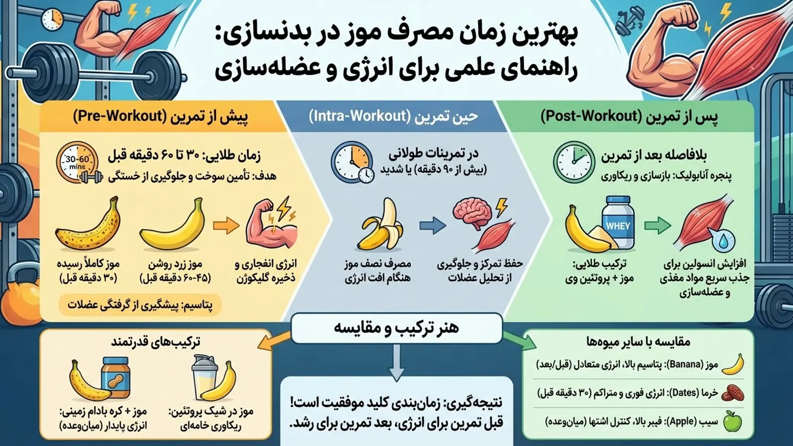 راهنمای جامع بهترین زمان مصرف موز در بدنسازی