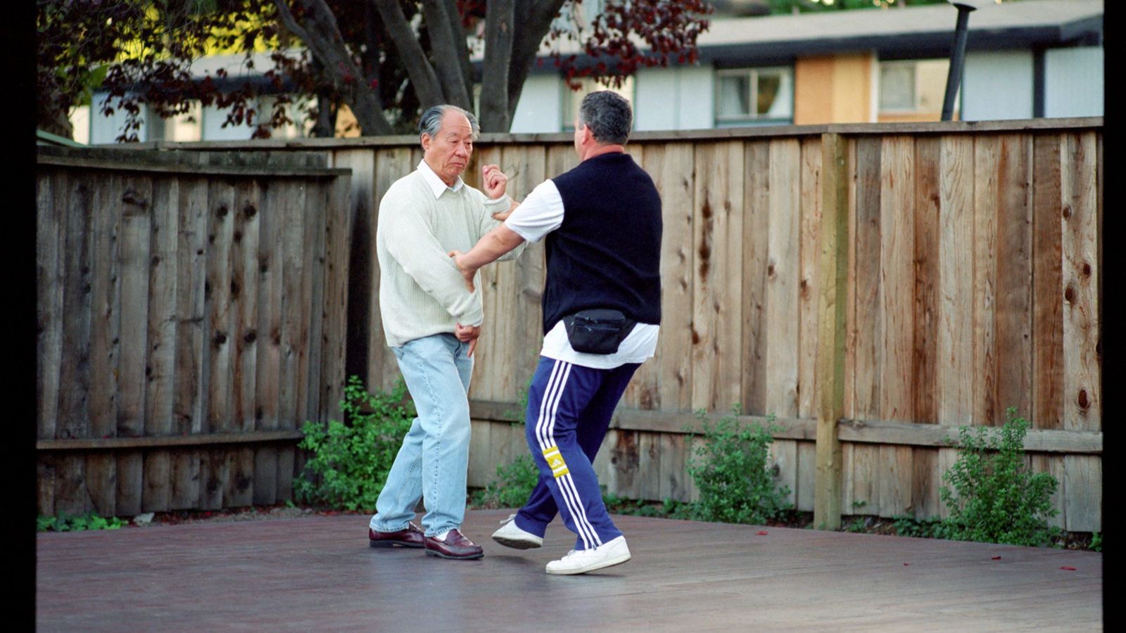 سبک وو/هاو در تای چی