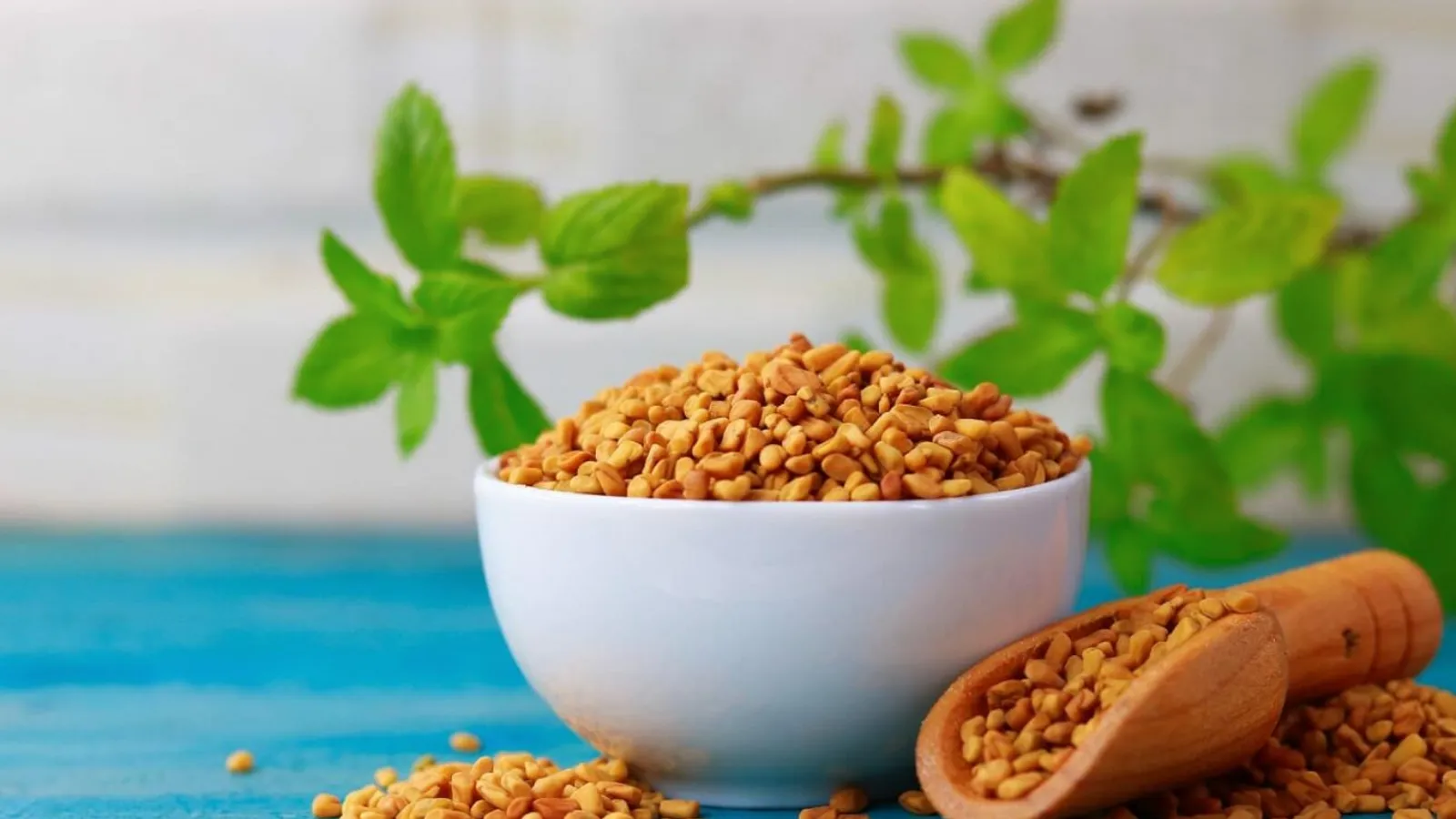 تخم شنبلیله برای پرپشتی مو