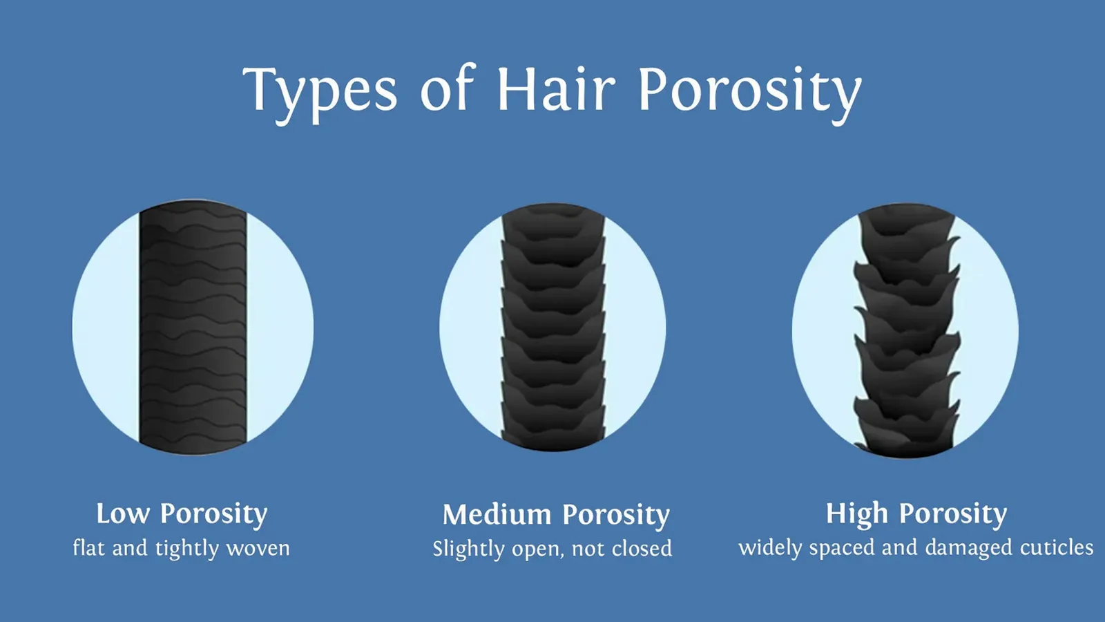 آزمایش تخلخل مو