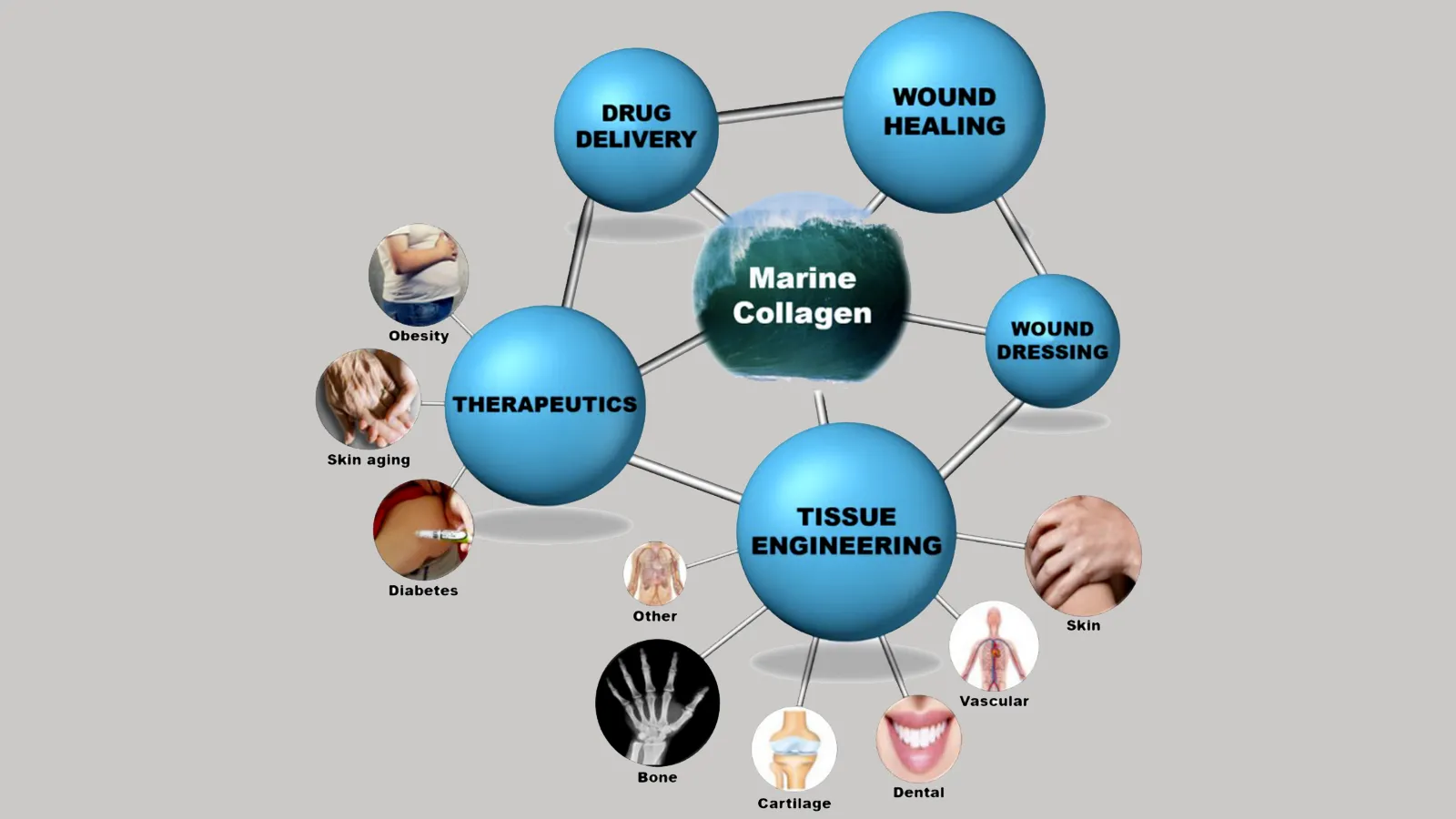 محصولات کلاژن دریایی