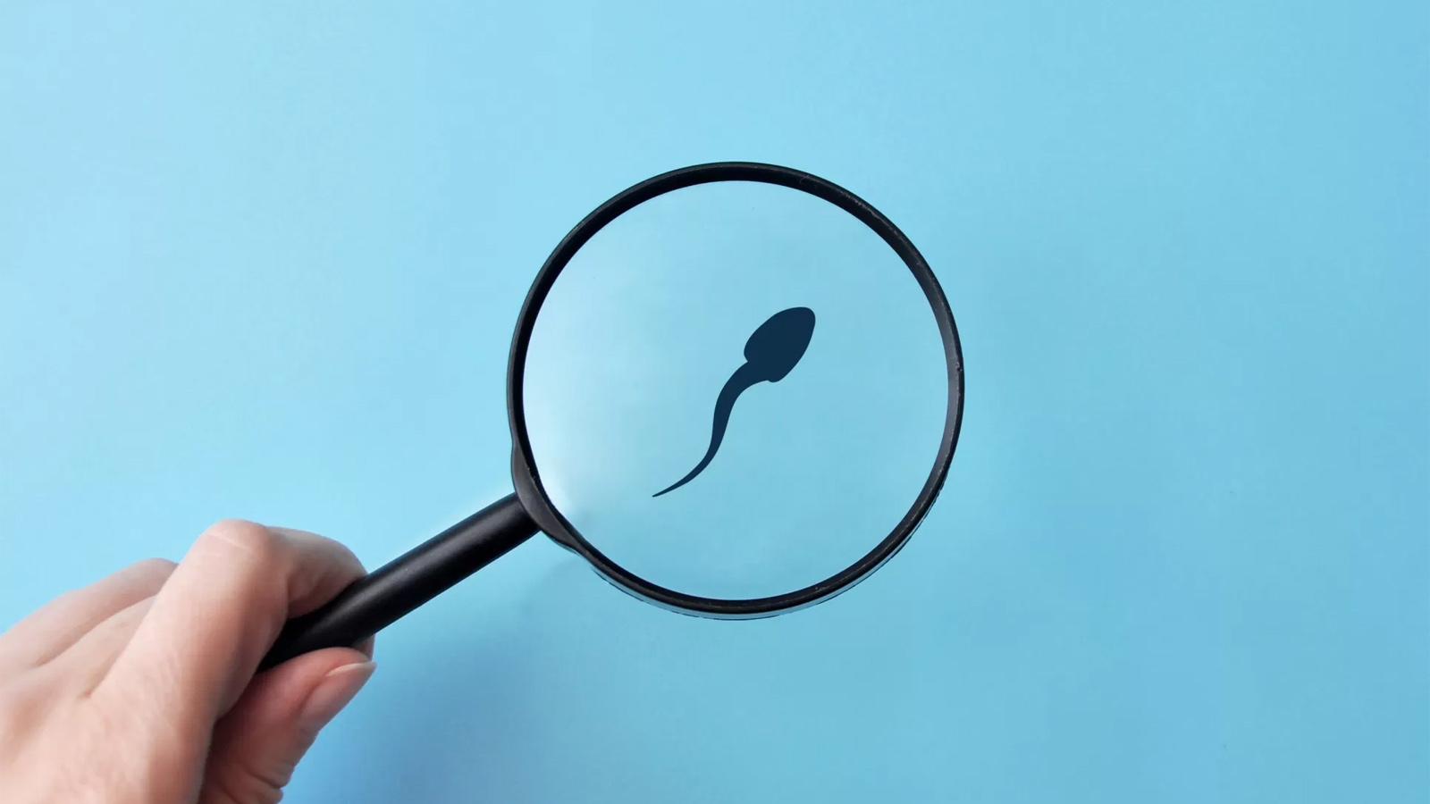 علت کم تحرکی اسپرم