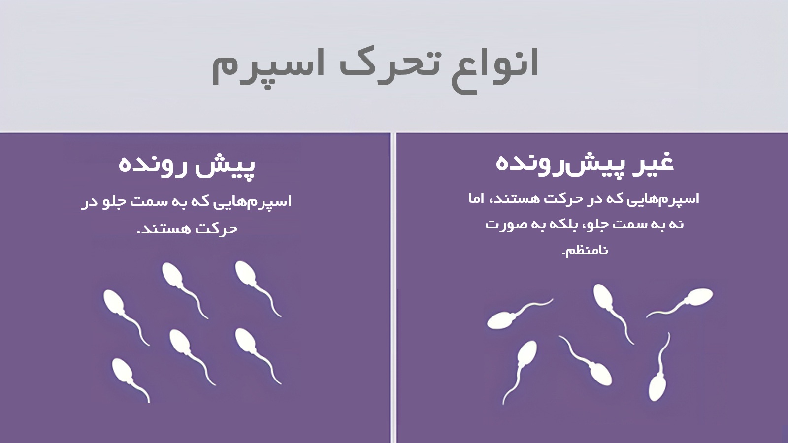 کم تحرکی اسپرم چیست؟