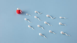 کم تحرکی اسپرم چیست؟ نشانه‌ها و روش‌های درمان