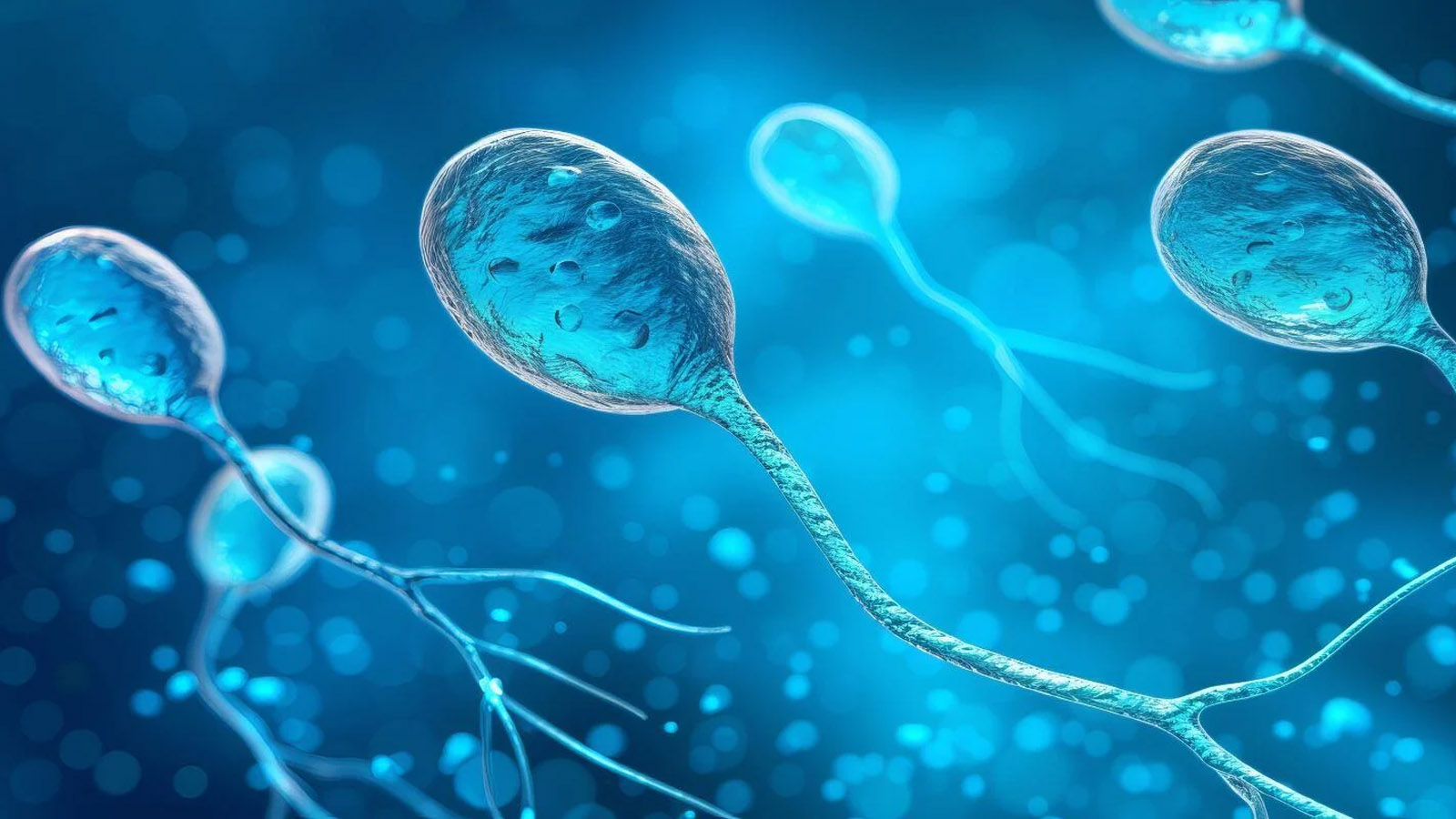 درمان کم تحر‌کی اسپر‌م با طب سنتی