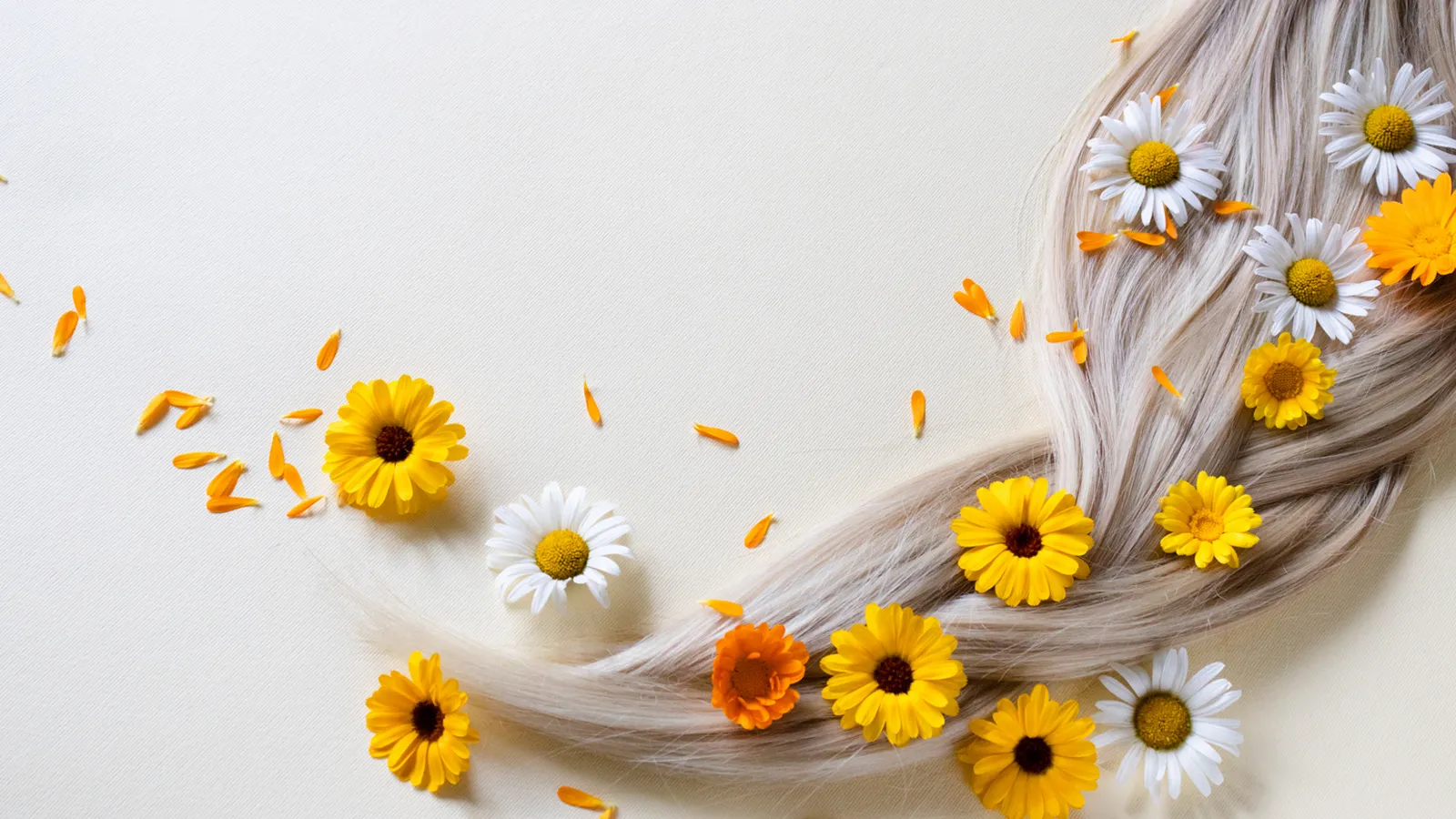 خاصیت بابونه برای مو